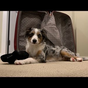 Meet your Posher, Karen